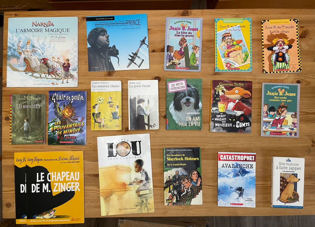 French books…, mostly for children, some adult & instructional - photo 2