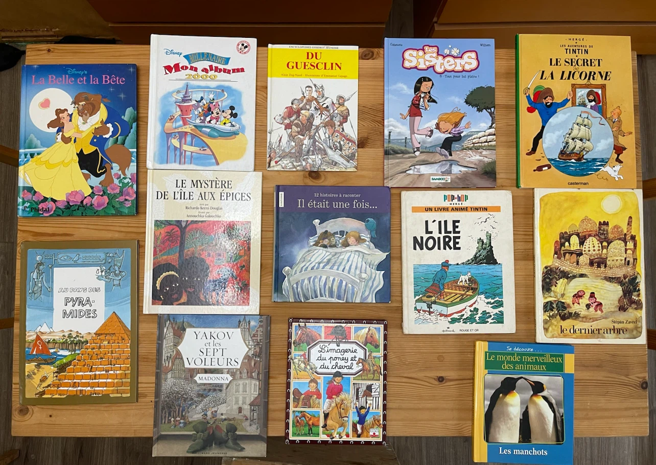 French books…, mostly for children, some adult & instructional - photo 5