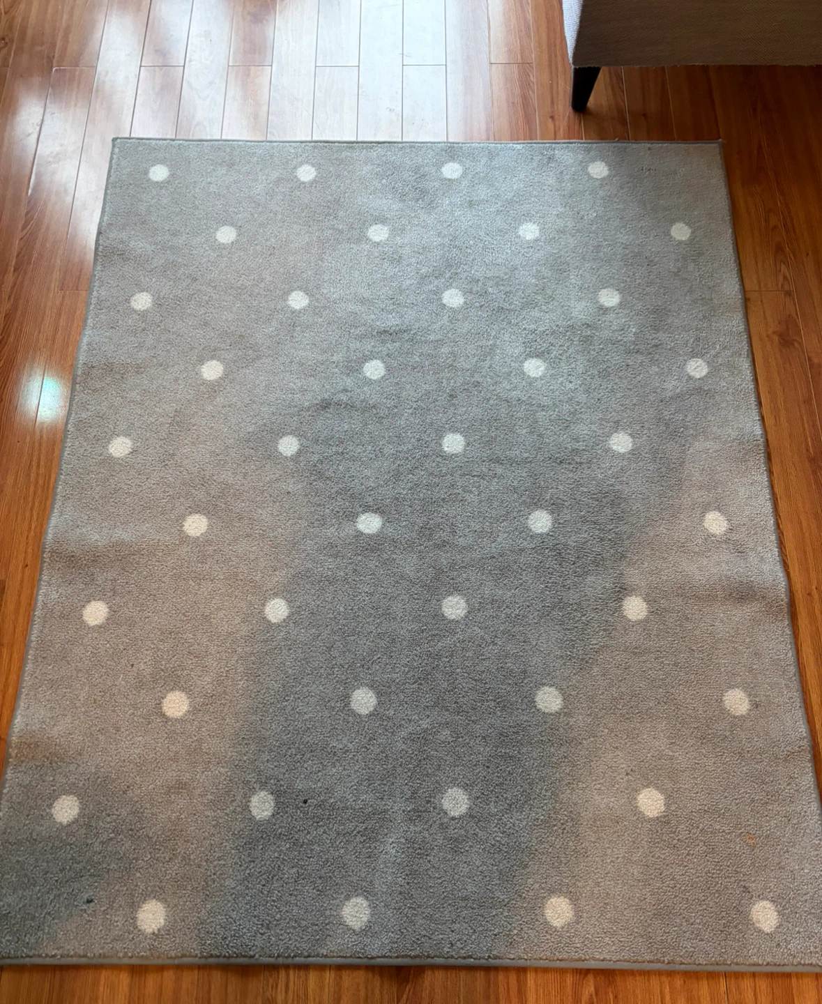 Grey and white polka dot carpet