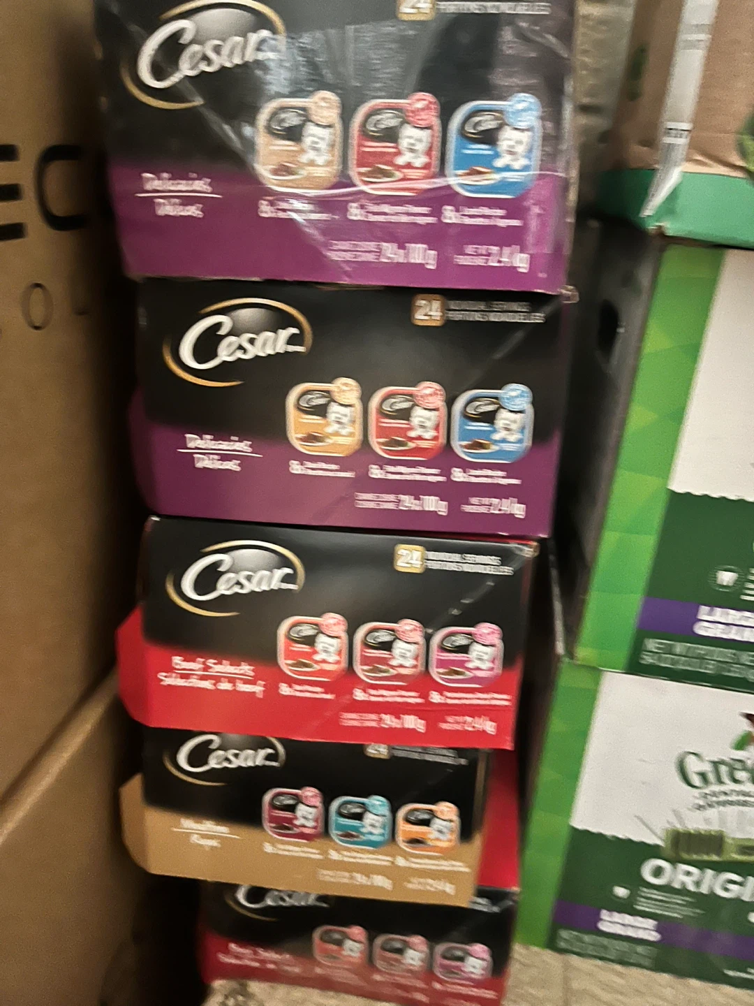 Cesar Dog Food Variety Packs