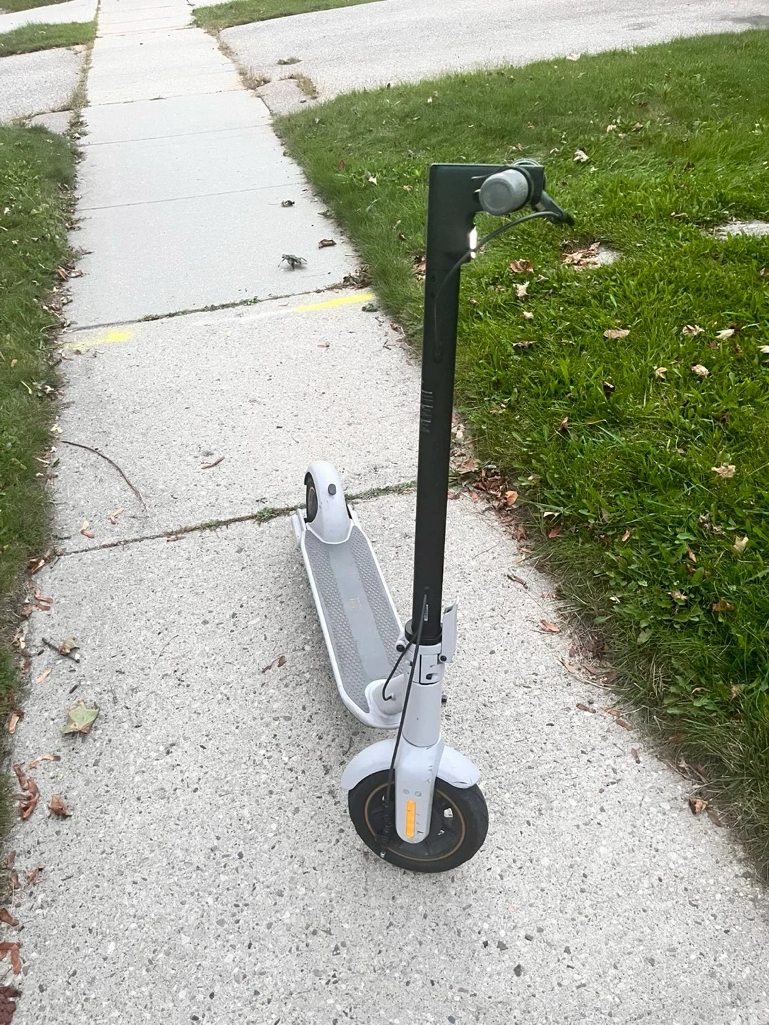 Ninebot KickScooter MAX G30LP