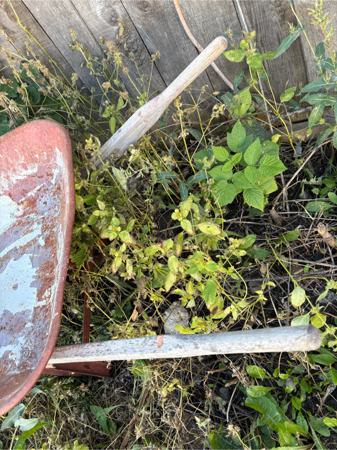 Garden Wheelbarrow - photo 4