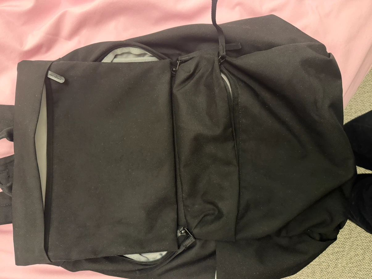 Everlane Black Backpack