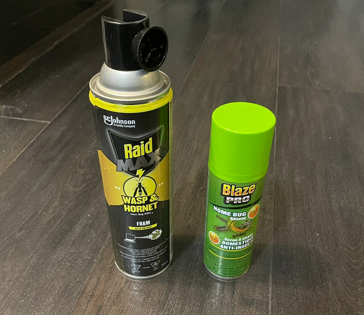 Raid Max Wasp & Hornet Foam and Blaze Pro Home Bug Shield