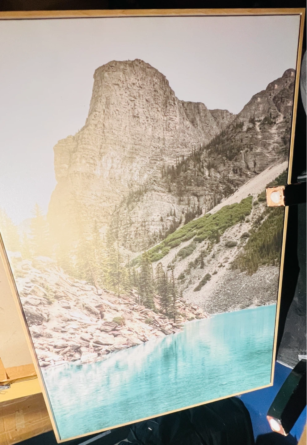 $15 for all three Assorted Framed Wall Art Prints