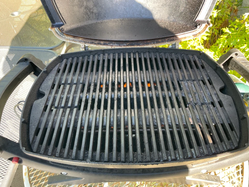Weber Q100 Portable BBQ