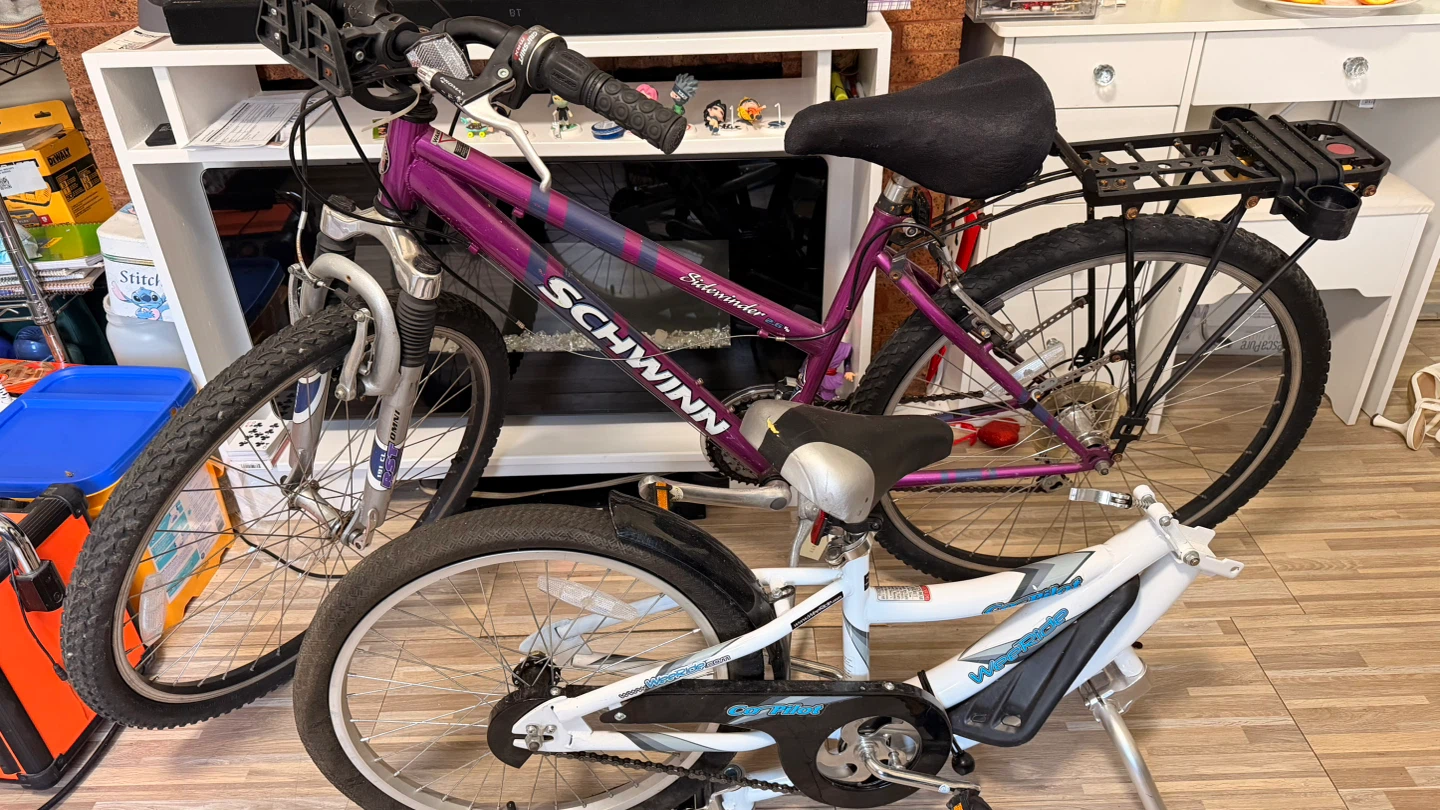 Schwinn Sidewinder Bike and WeeRide Co-Pilot Trailer