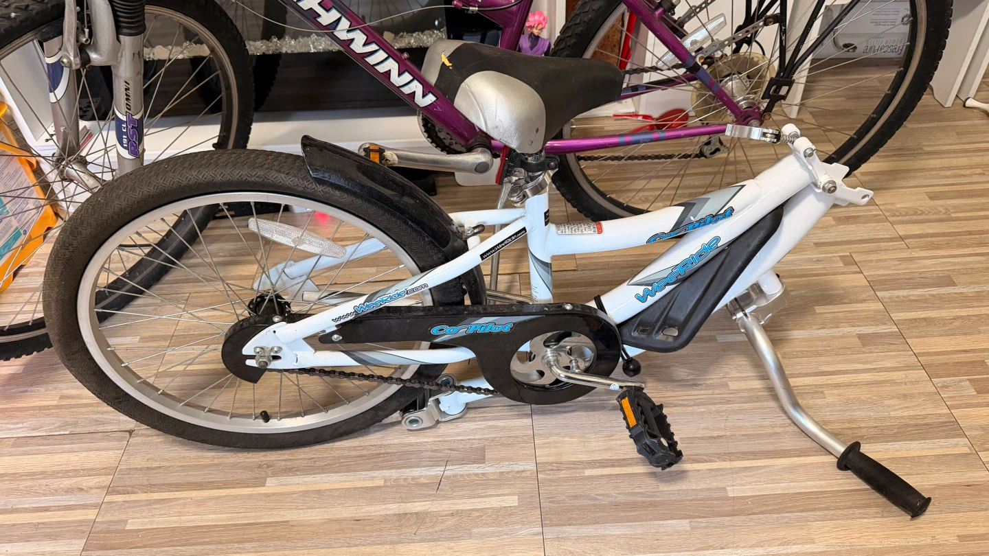 Schwinn Sidewinder Bike and WeeRide Co-Pilot Trailer - photo 2