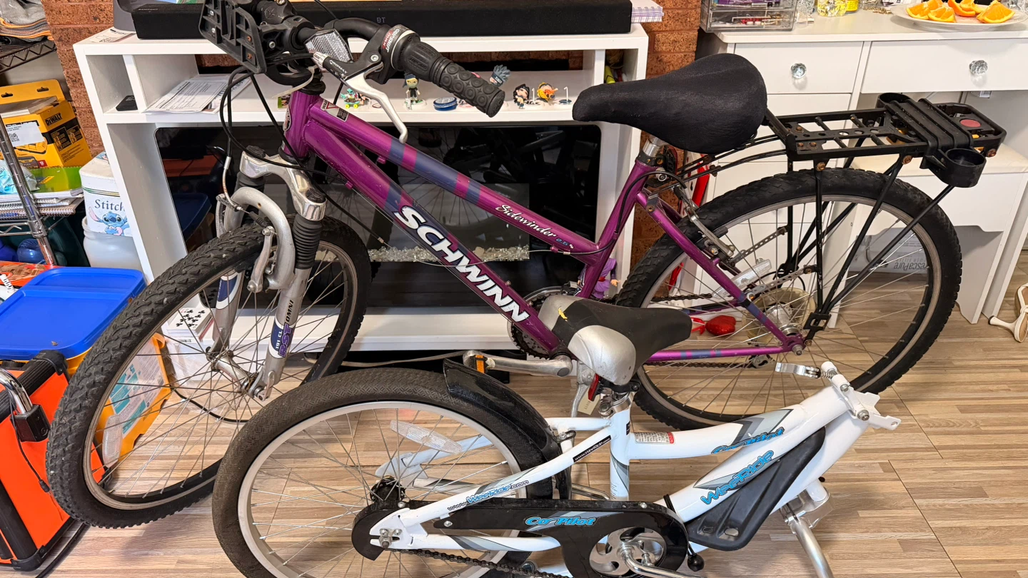 Schwinn Sidewinder Bike and WeeRide Co-Pilot Trailer - photo 3