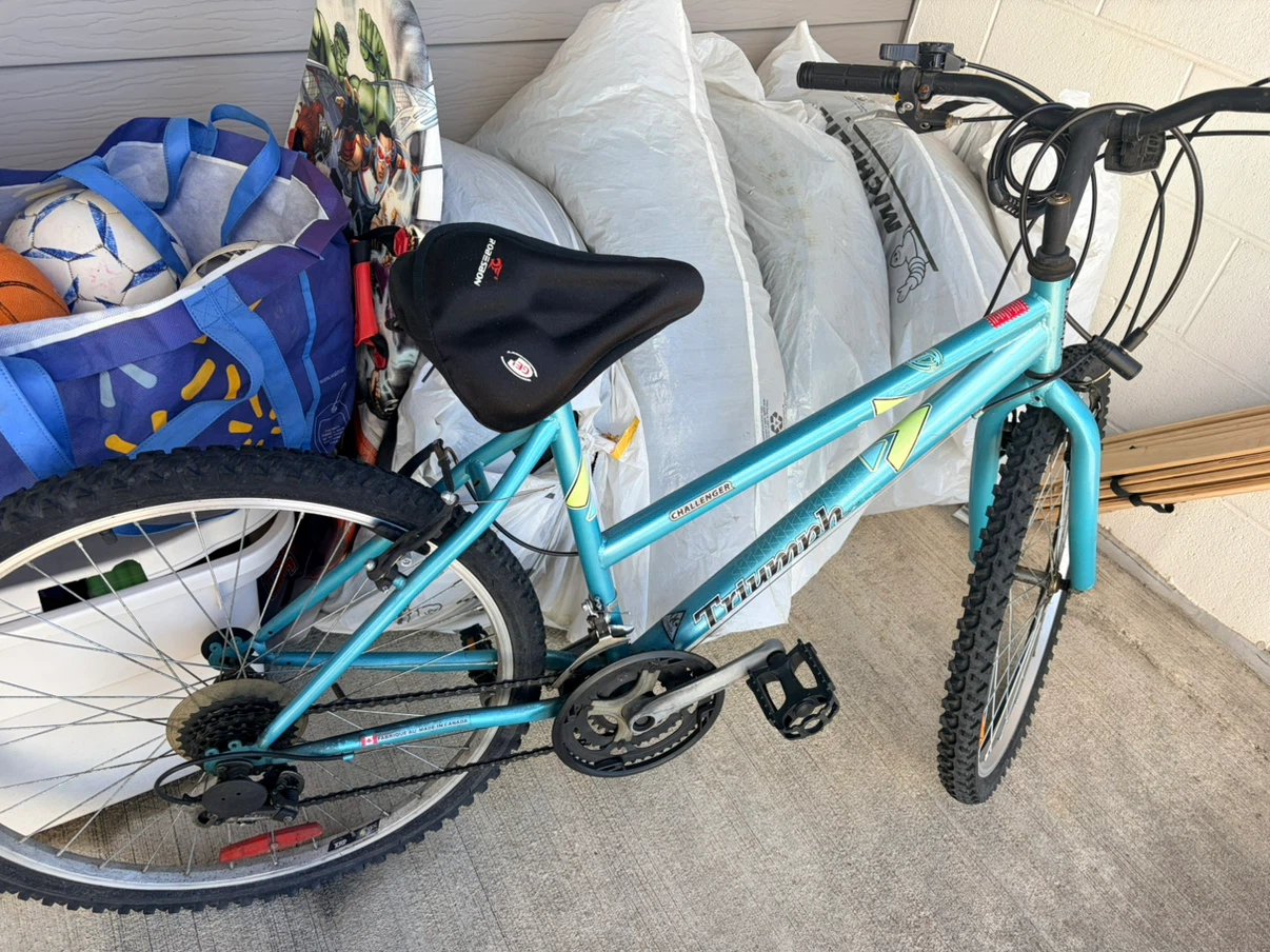 Triumph Challenger Mountain Bike