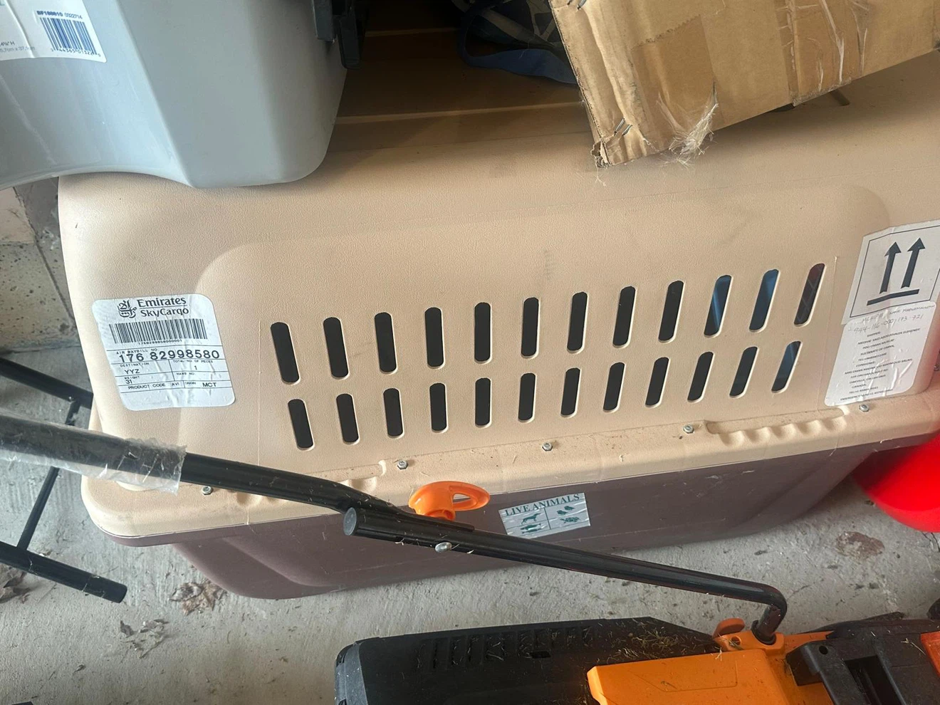 Large Hard-Sided Pet Carrier