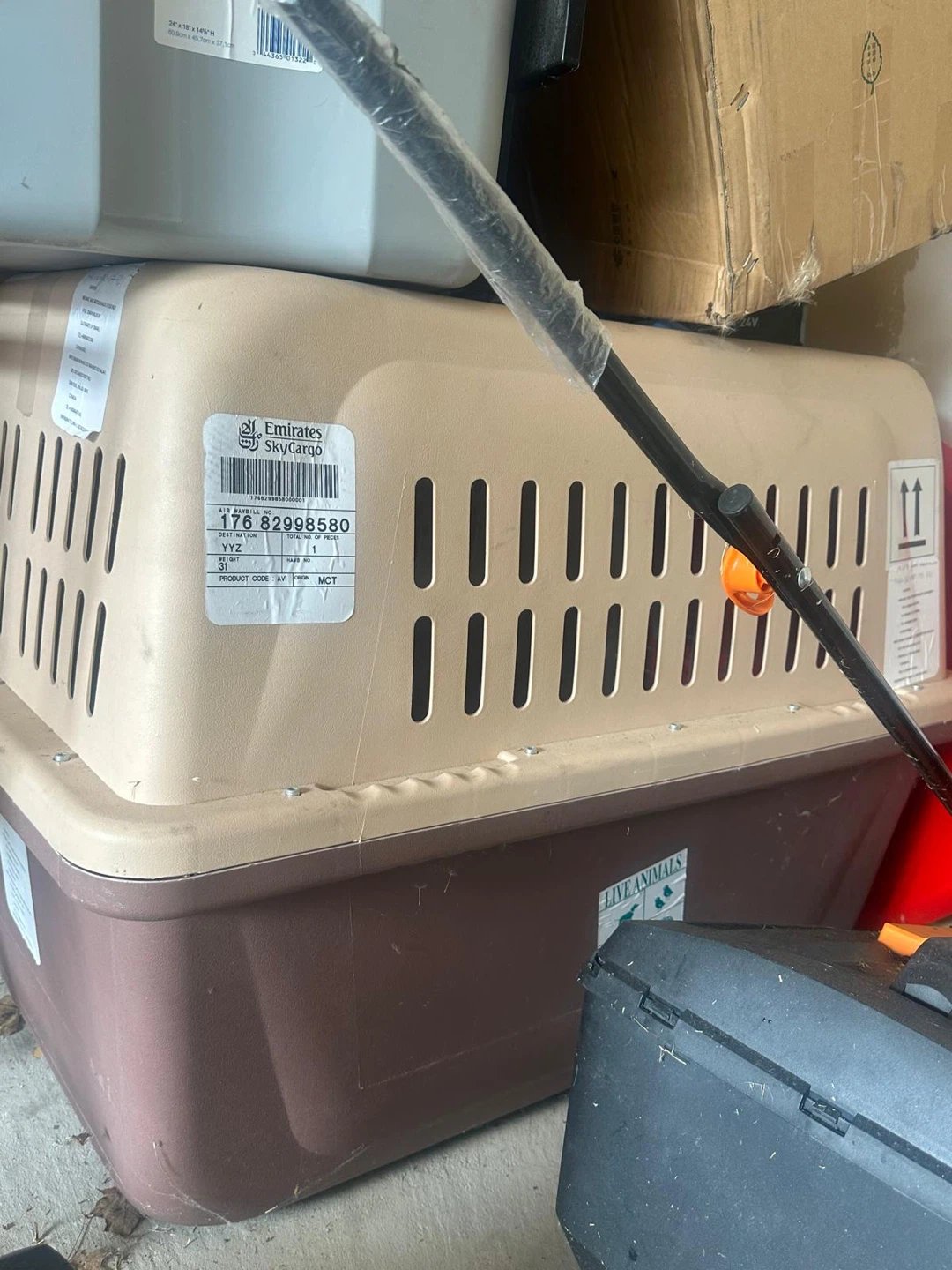 Large Hard-Sided Pet Carrier - photo 3