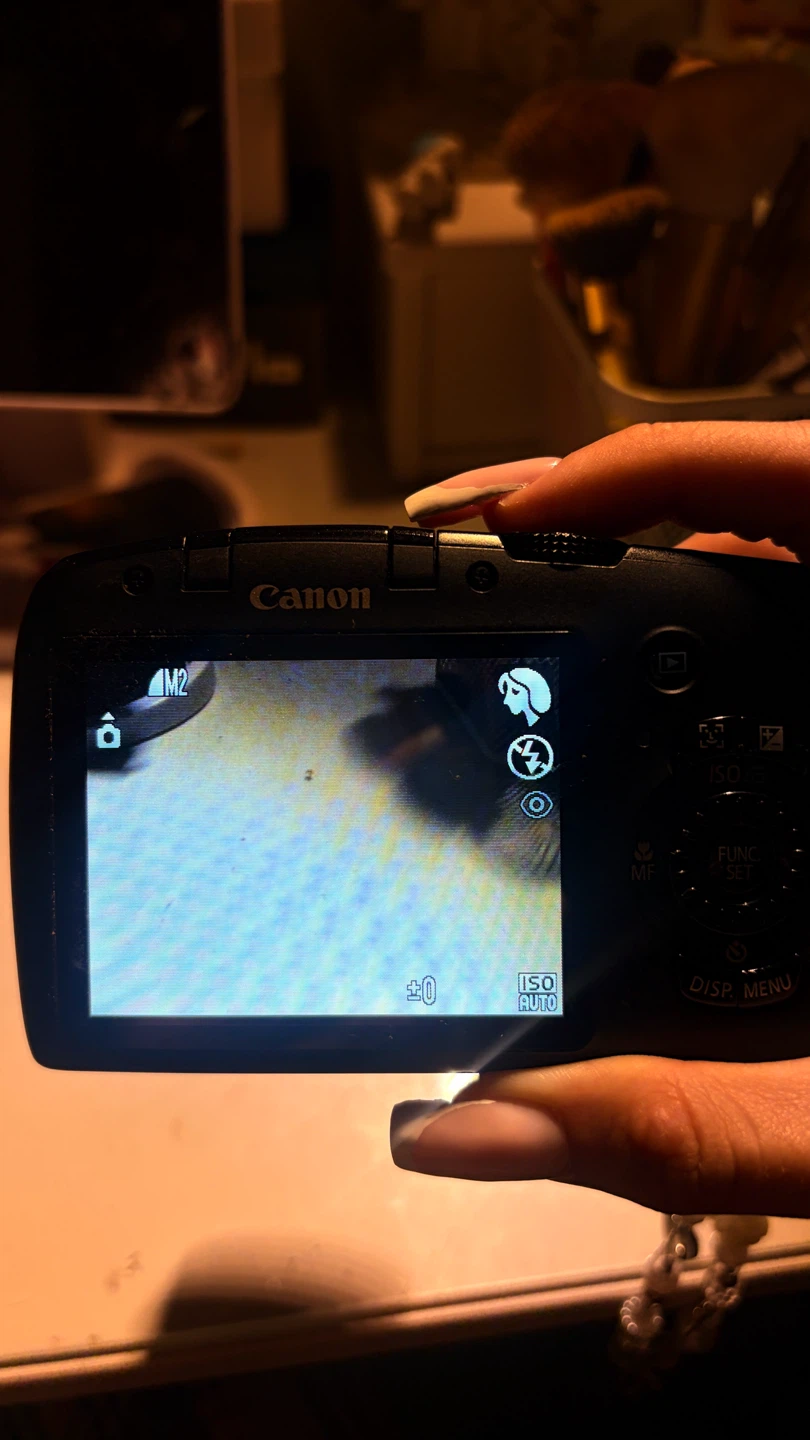 Canon PowerShot SX120 IS Digital Camera - photo 5