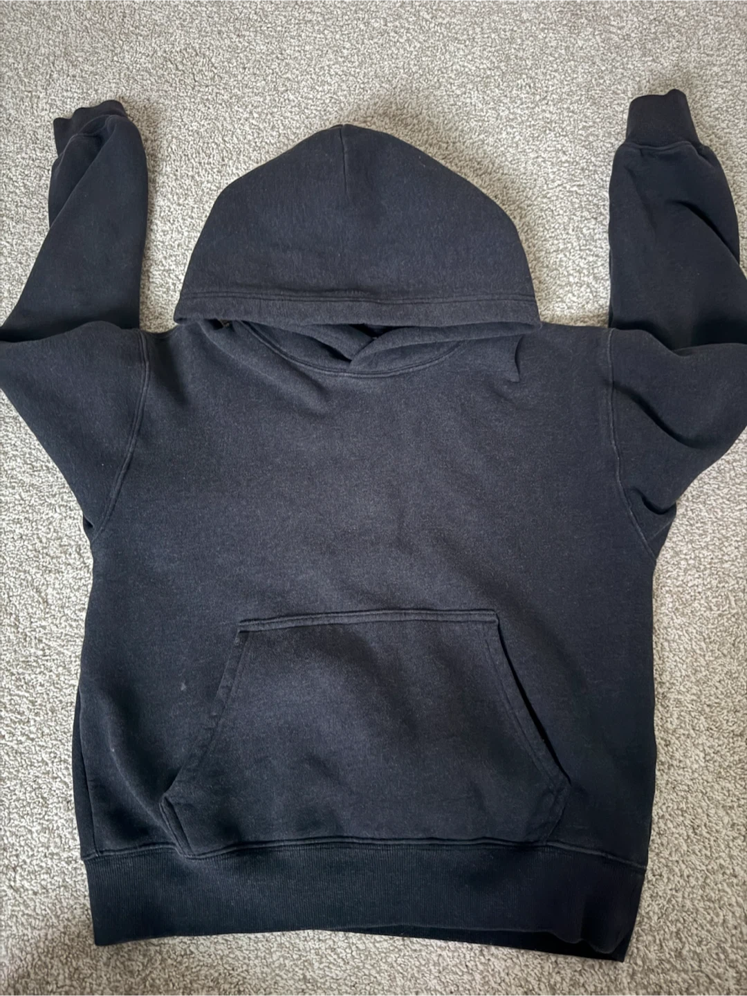 Aritzia Sweatfleece Hoodie