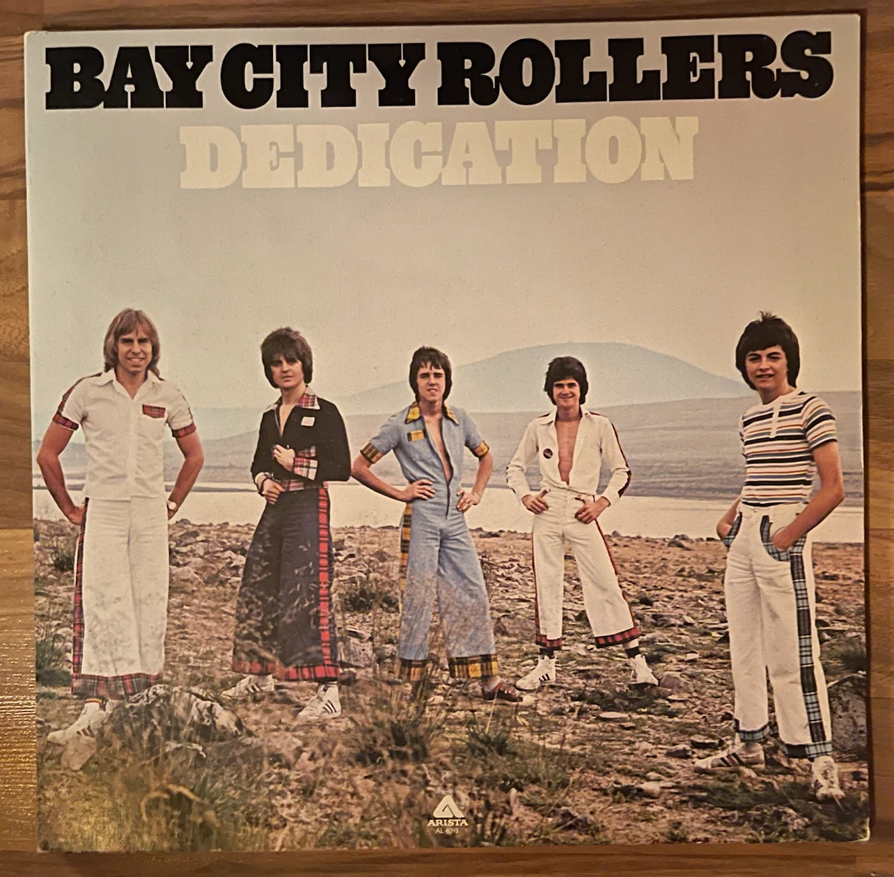 Vintage Vinyl Record