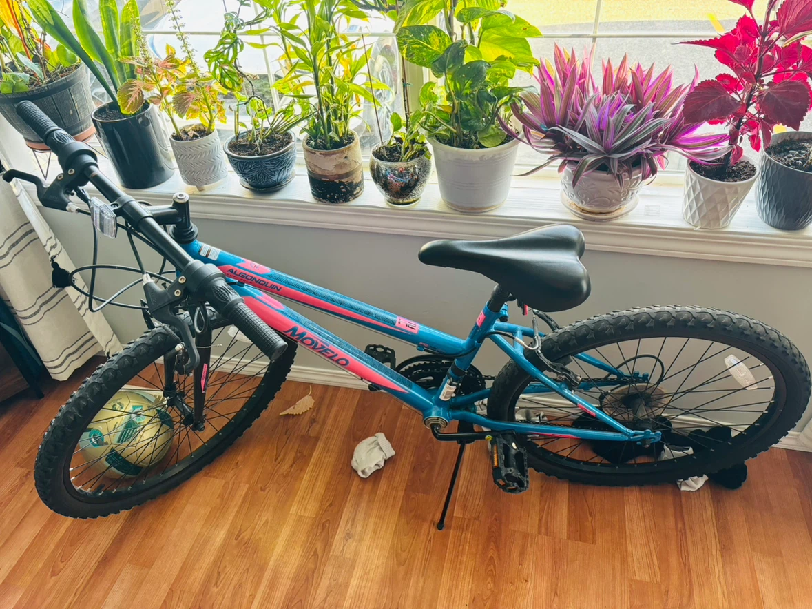 Movelo Algonquin Mountain Bike