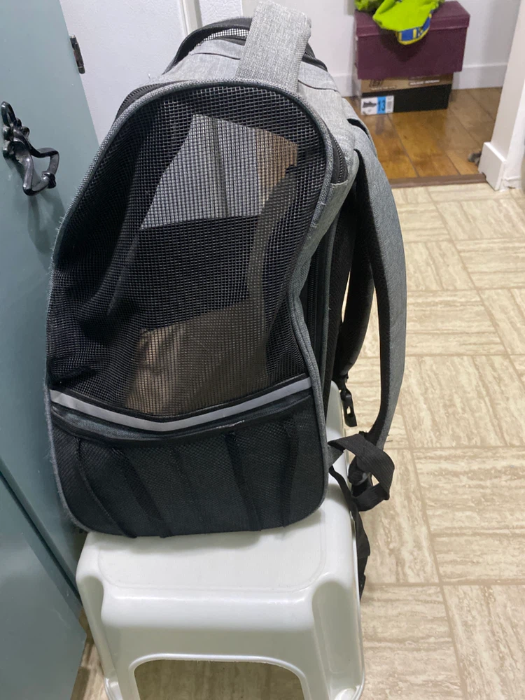 Grey Pet Carrier Backpack - photo 4