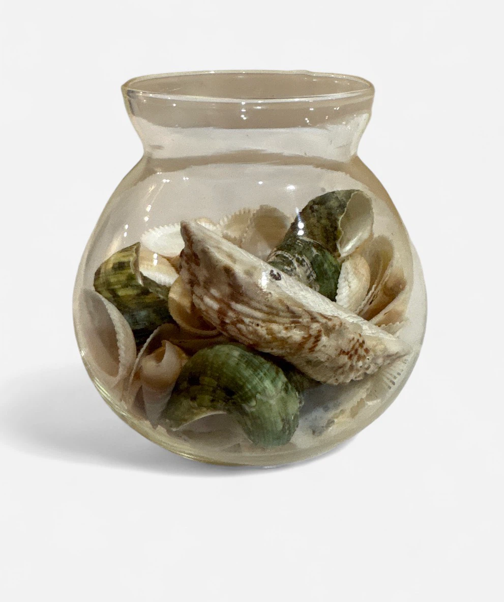 Assorted Seashells in Glass Jar
