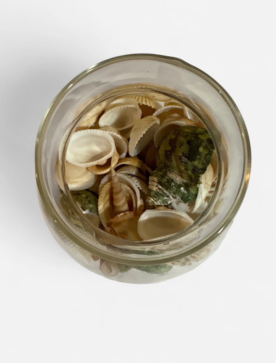 Assorted Seashells in Glass Jar - photo 2