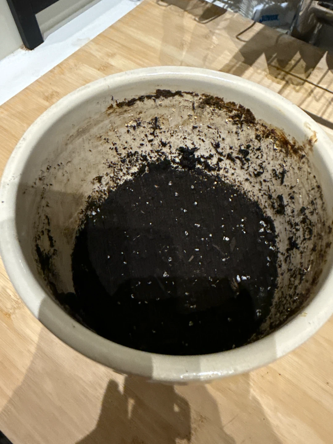 Small Plant Pot - 6 inches - photo 2