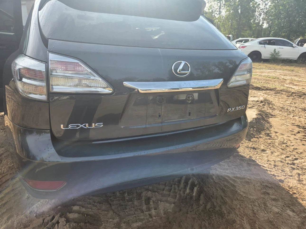 Tailgate complete assembly- 2010 Lexus RX350