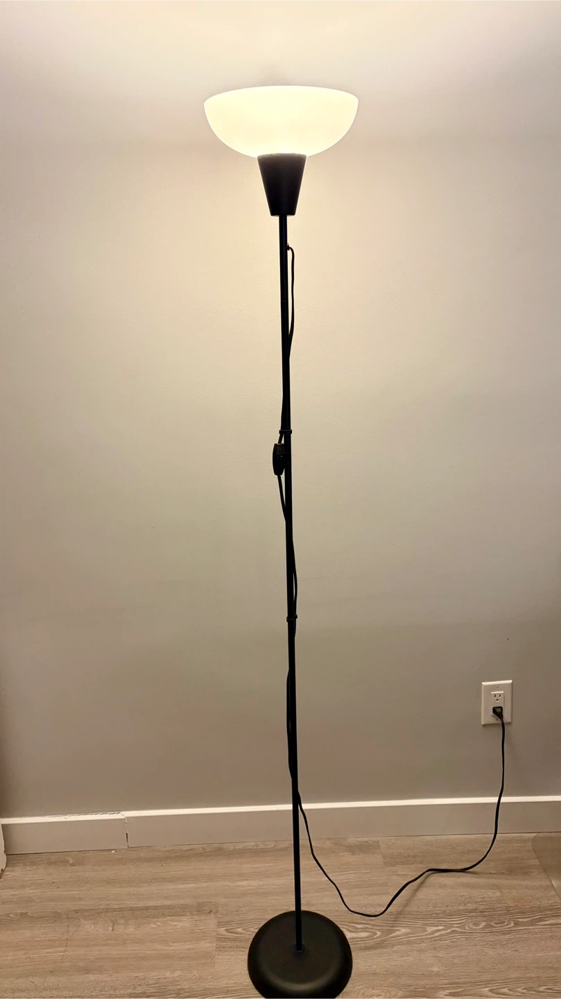 Black Floor Lamp with LED Bulb
