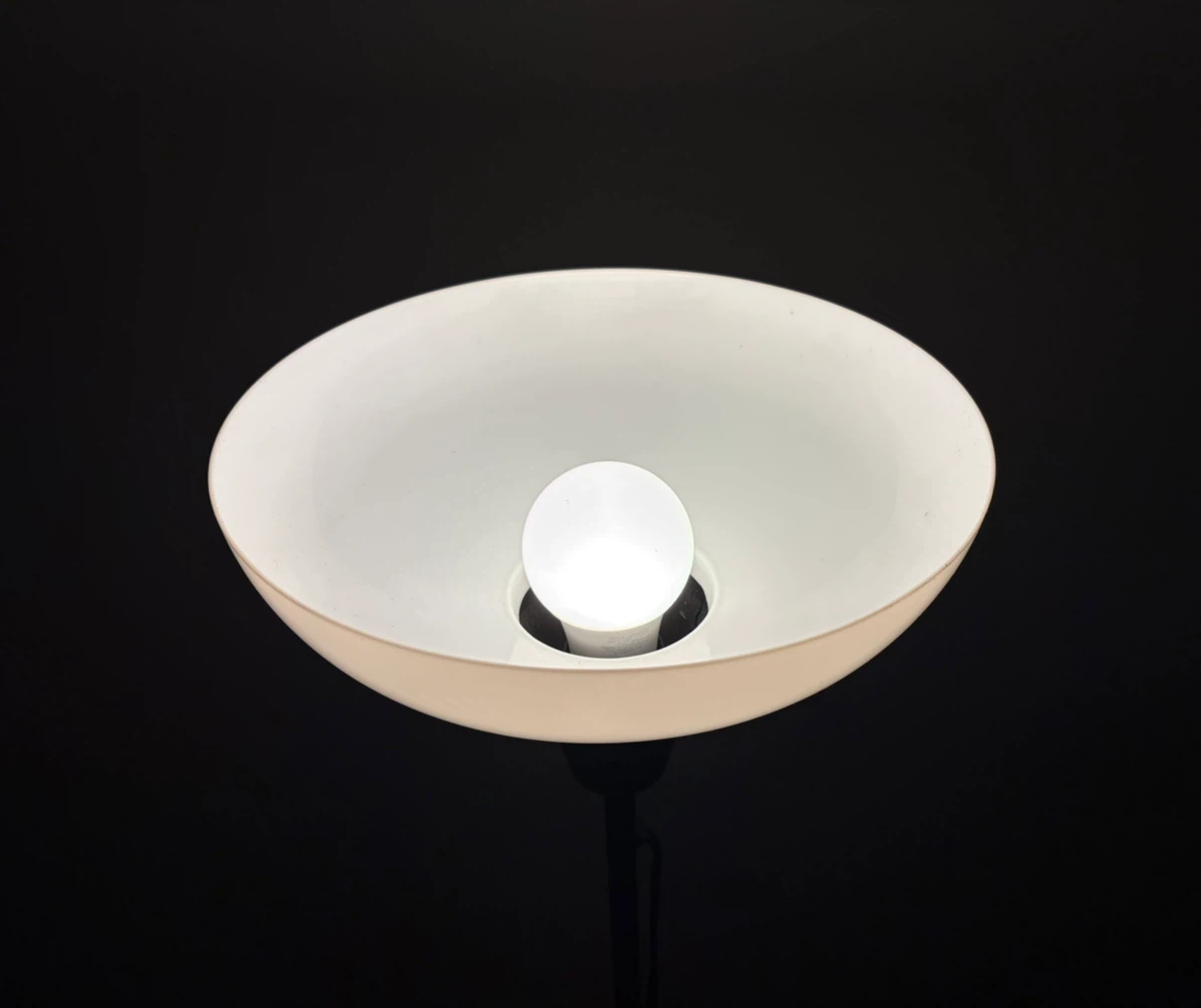 Black Floor Lamp with LED Bulb - photo 3