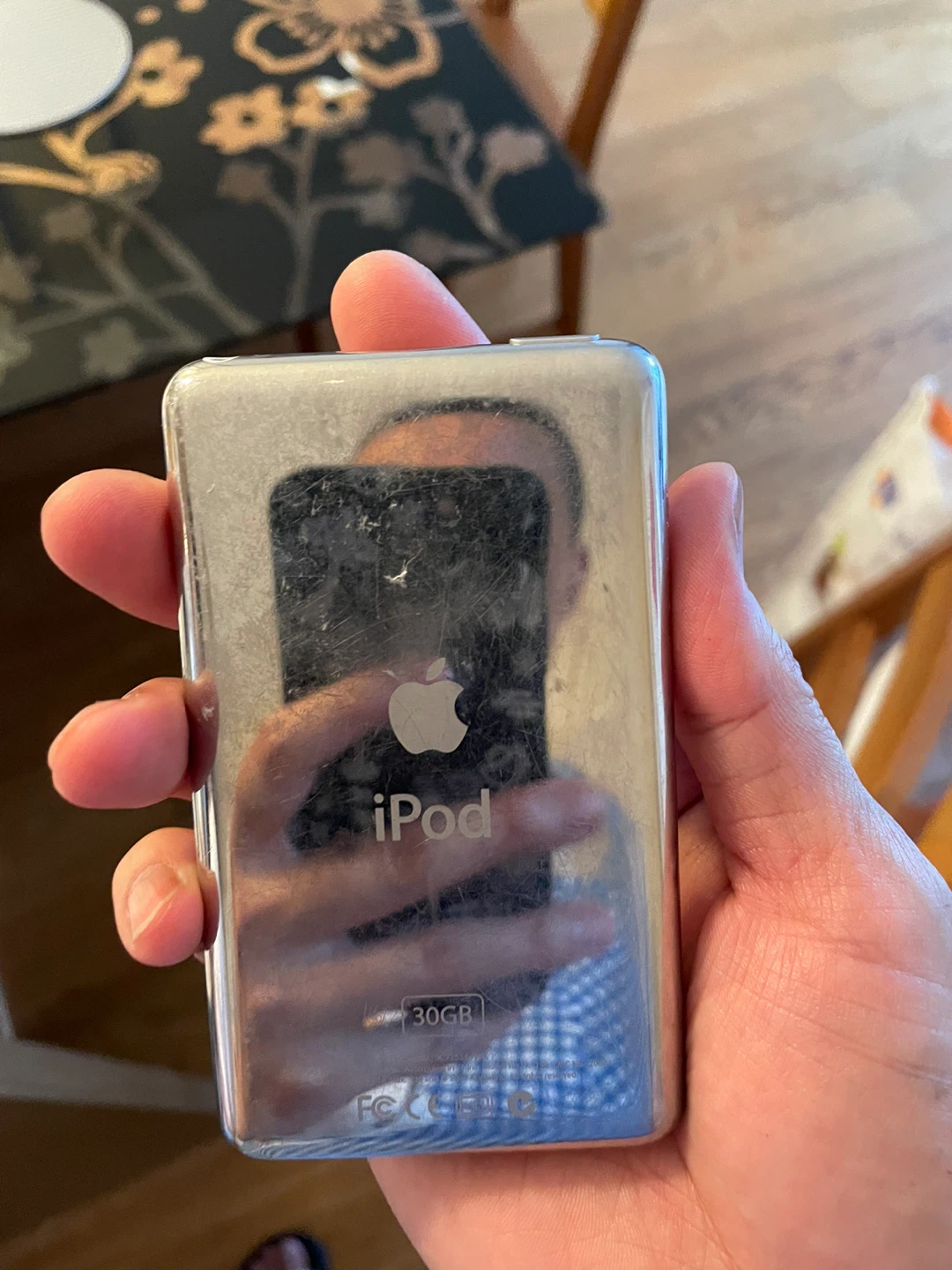 Apple iPod Classic 30GB