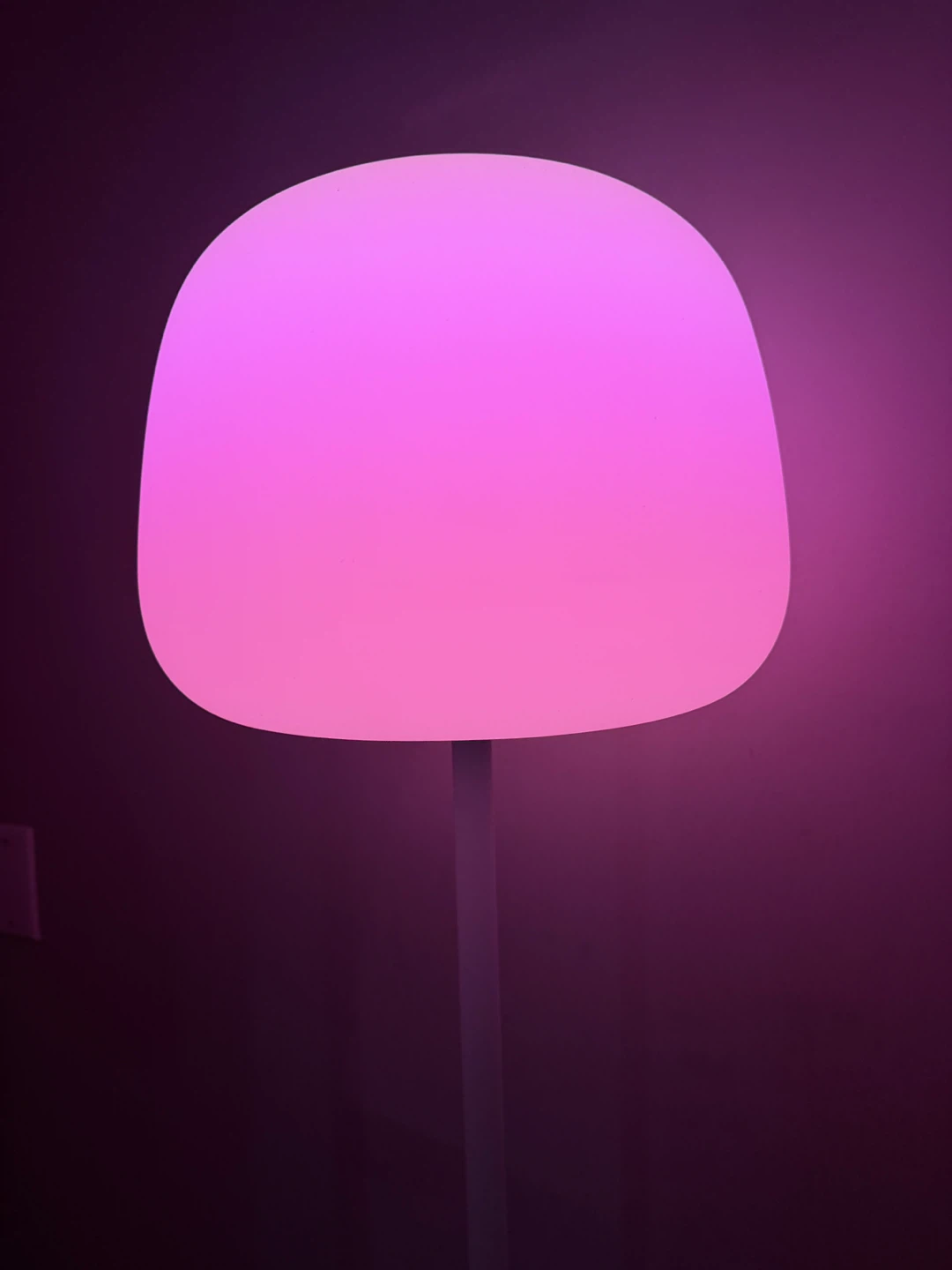 Govee Lantern Floor Lamp - Like New - photo 2