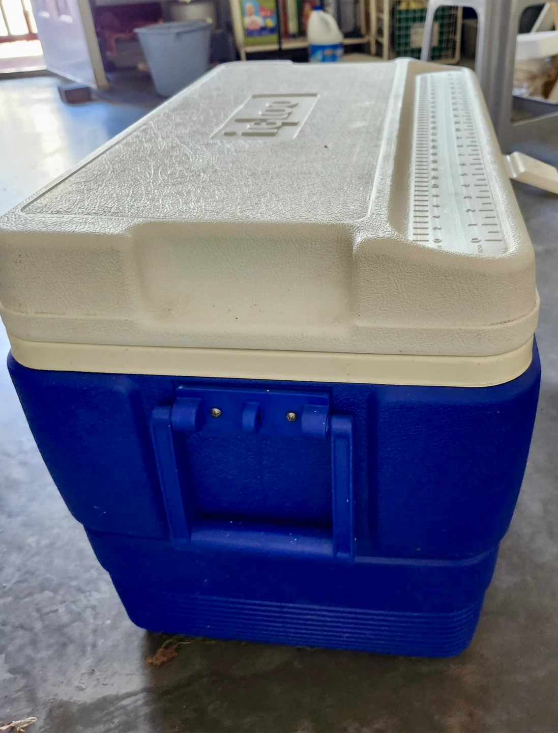 Igloo Legend 58 Cooler