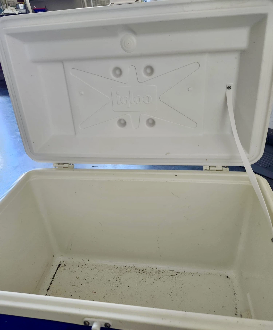 Igloo Legend 58 Cooler - photo 3
