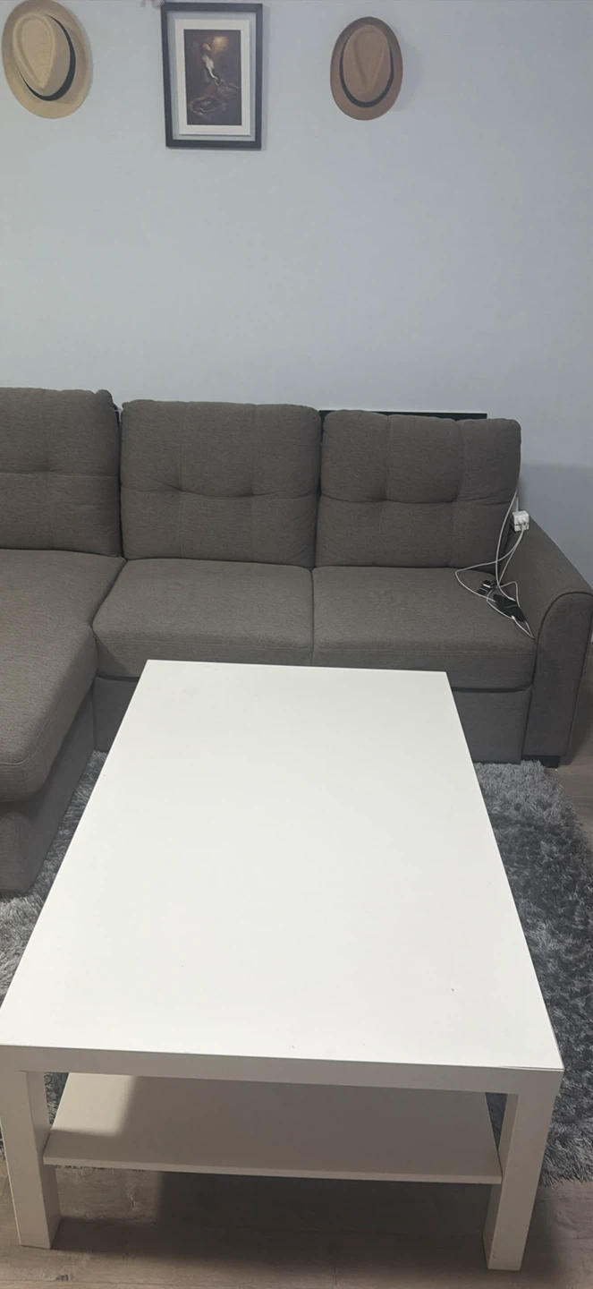 Grey Sectional Sofa with Storage Chaise