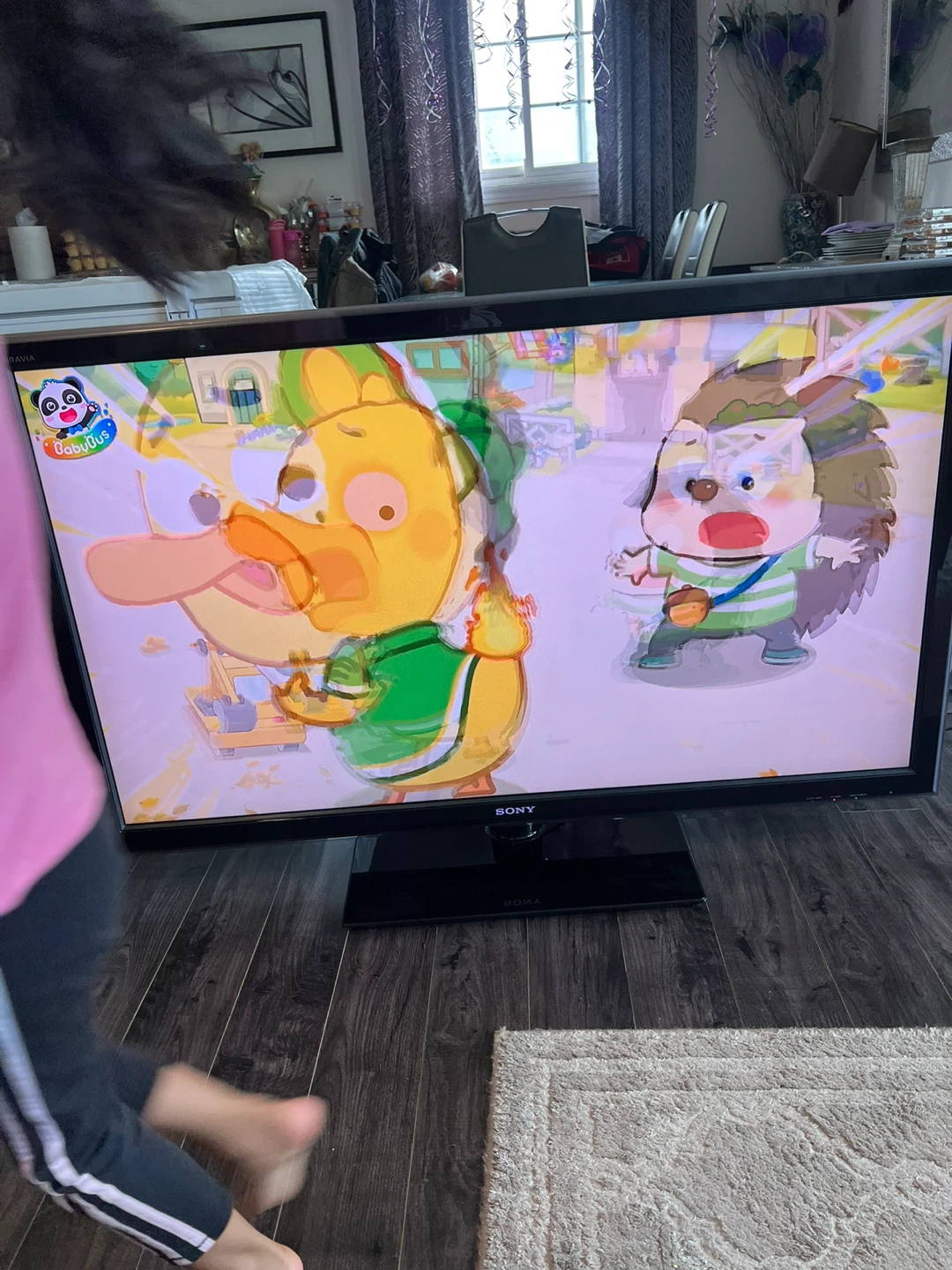 Sony Bravia XBR Television - photo 3