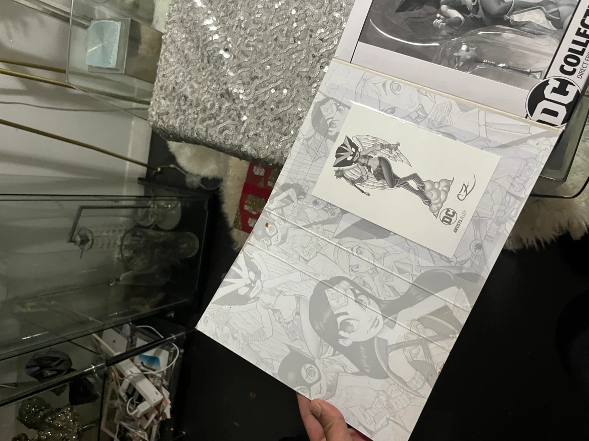 DC Artists Alley Hawkgirl Black and White Variant Figure - photo 3