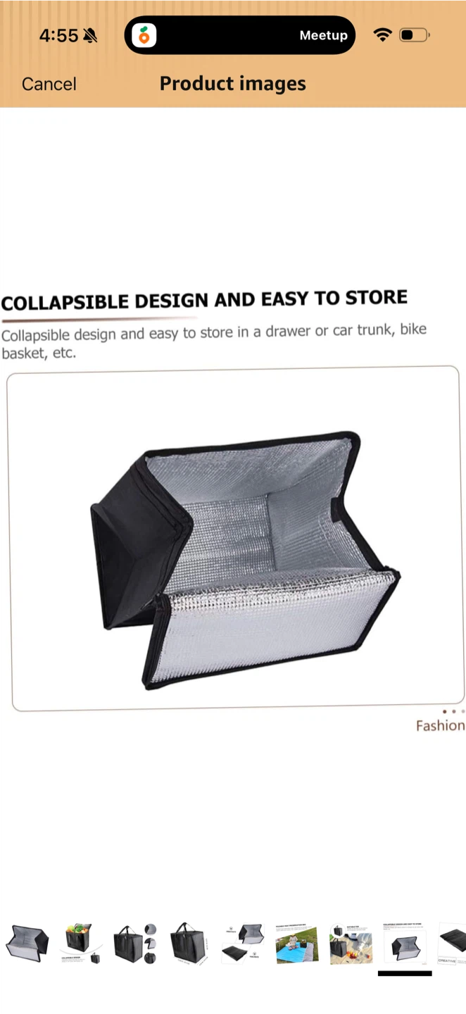 Collapsible Insulated Food Delivery Bag