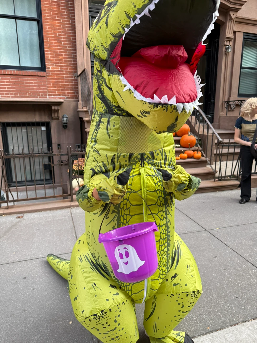 Inflatable T-Rex Costume kid costume One Size