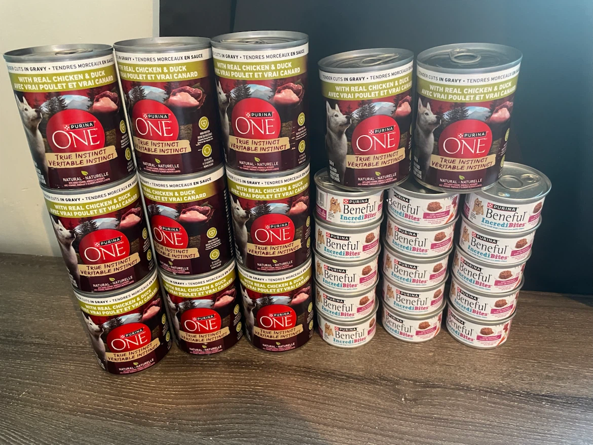 26 Cans Wet Dog Food Lot