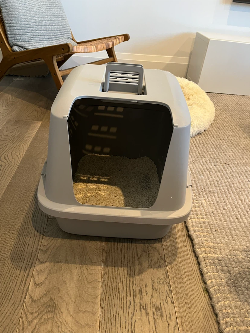 Free! Grey Enclosed Cat Litter Box - photo 2