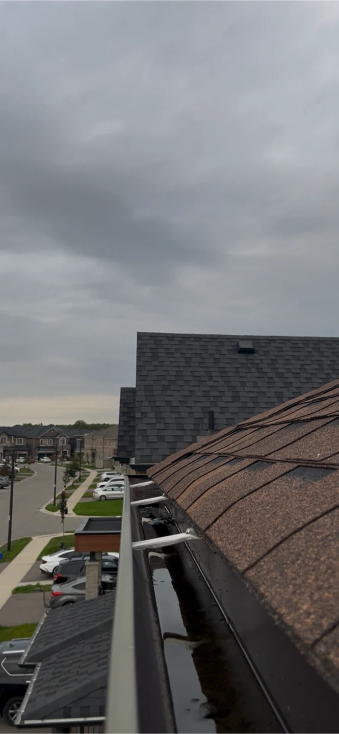 Professional Gutter Cleaning Service - photo 2