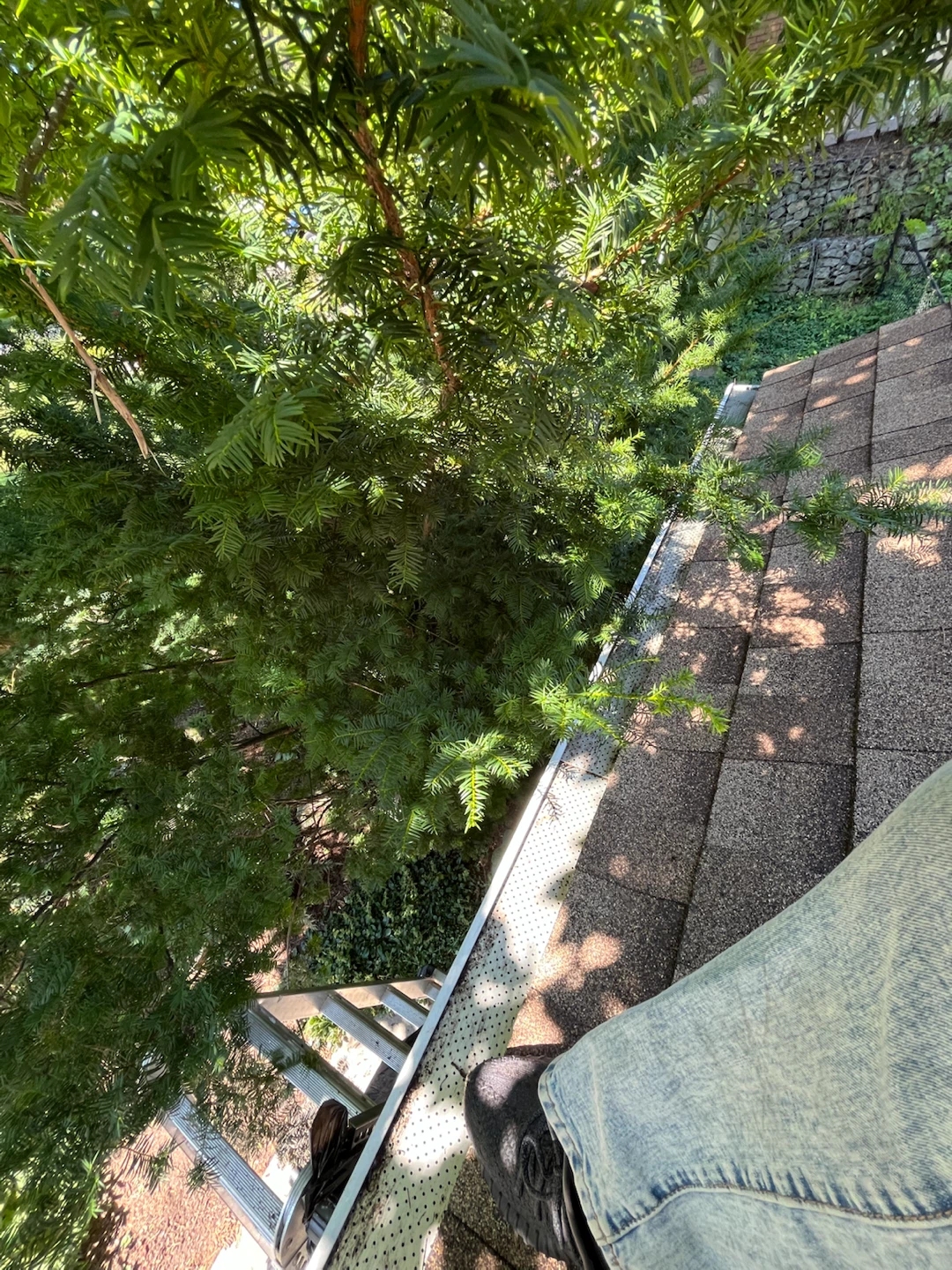 Professional Gutter Cleaning Service - photo 3