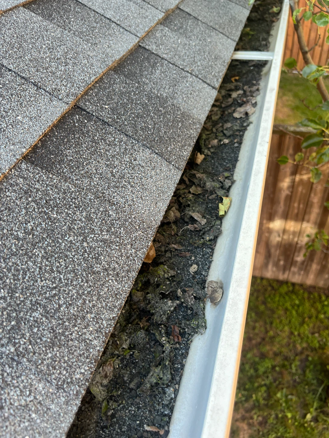 Professional Gutter Cleaning Service - photo 4