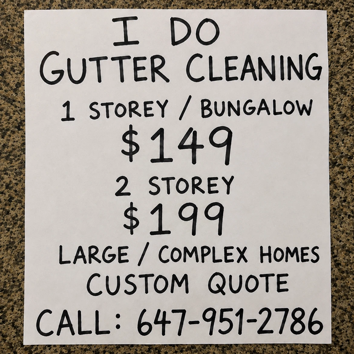 Professional Gutter Cleaning Service