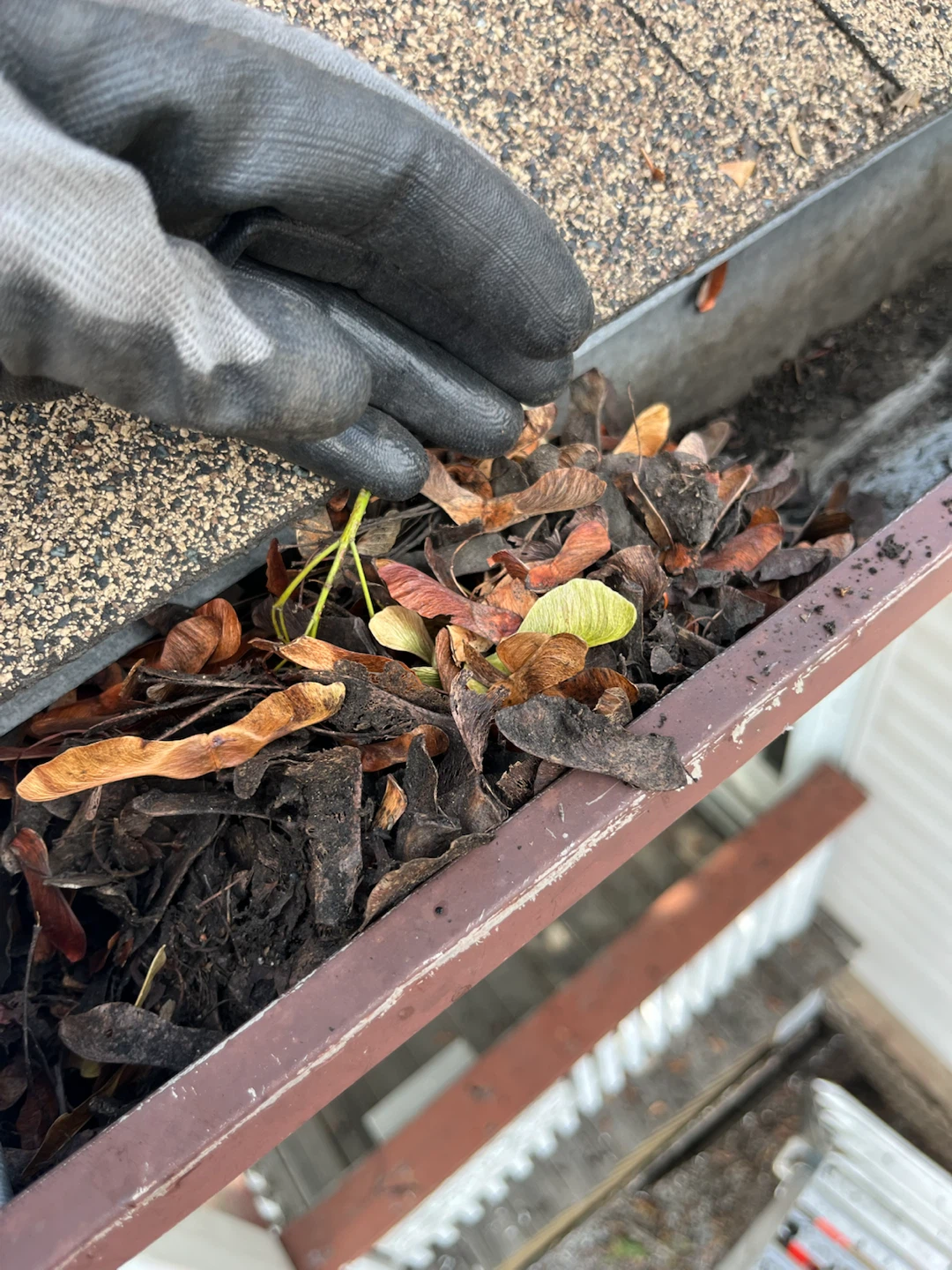 Professional Gutter Cleaning Service - photo 2