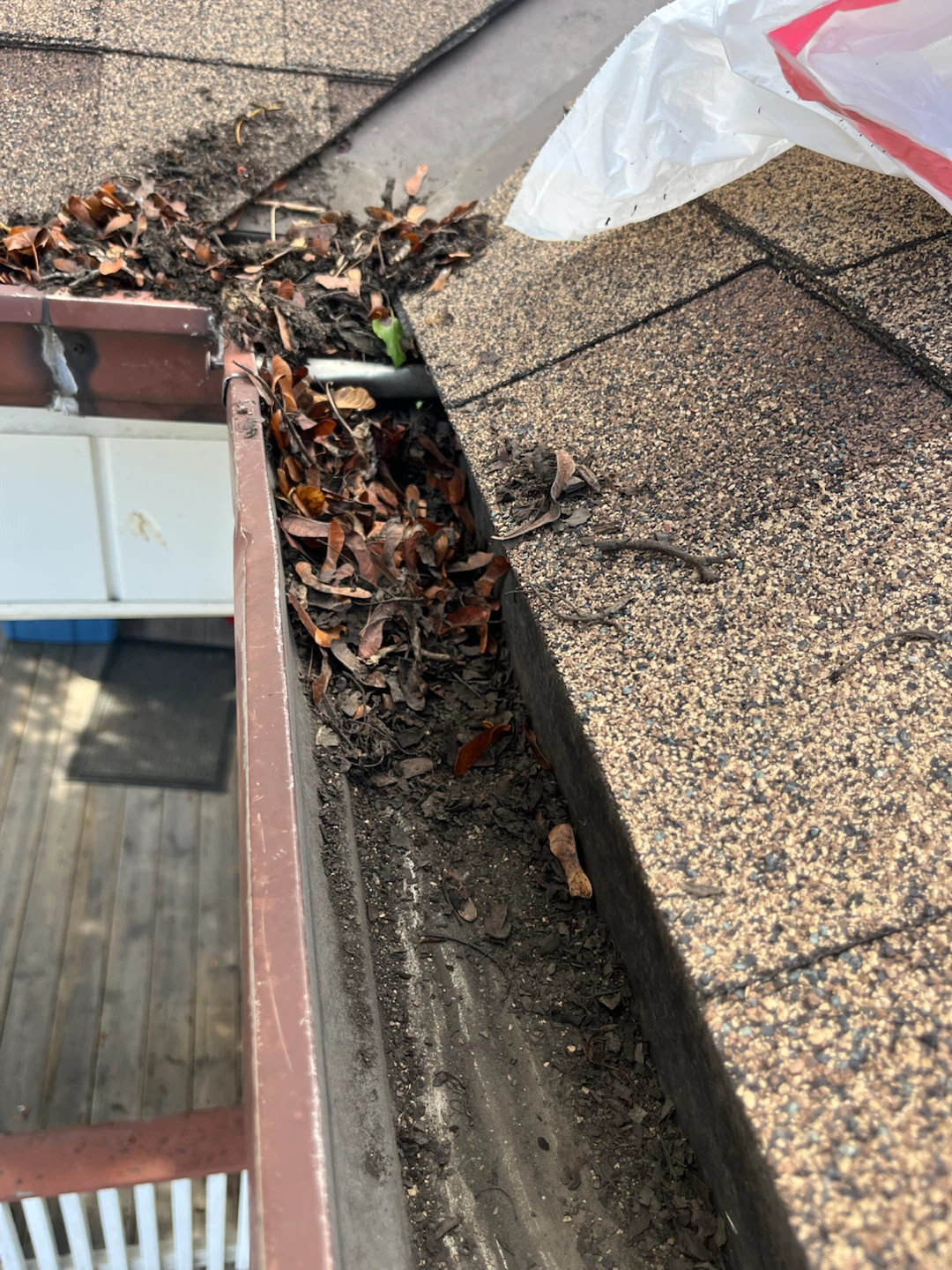 Professional Gutter Cleaning Service - photo 3