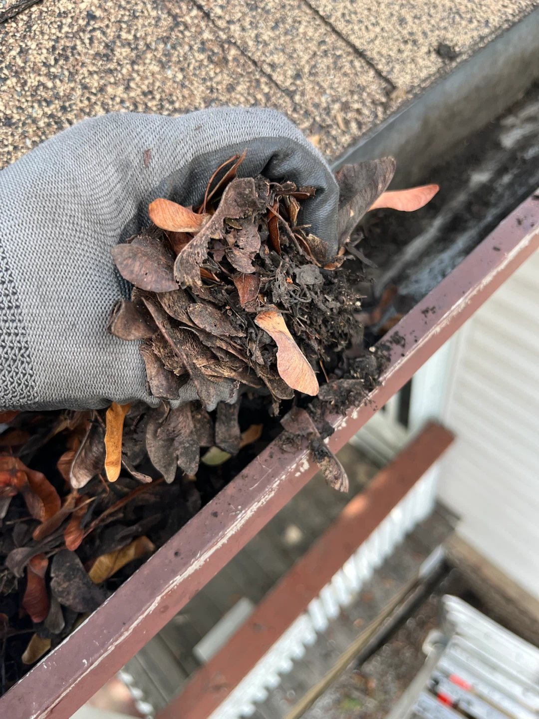Professional Gutter Cleaning Service - photo 4