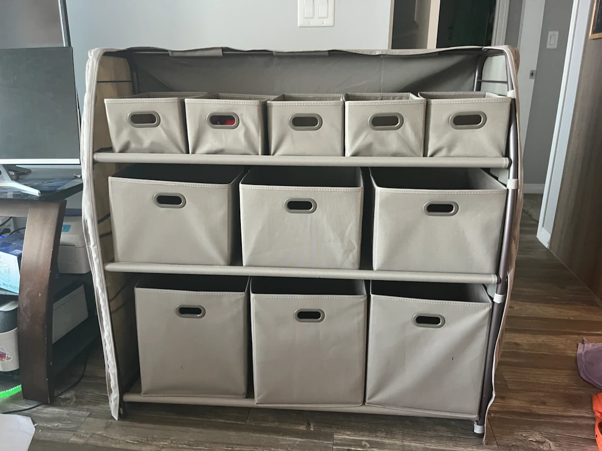 Storage Organizer with 11 Fabric Bins