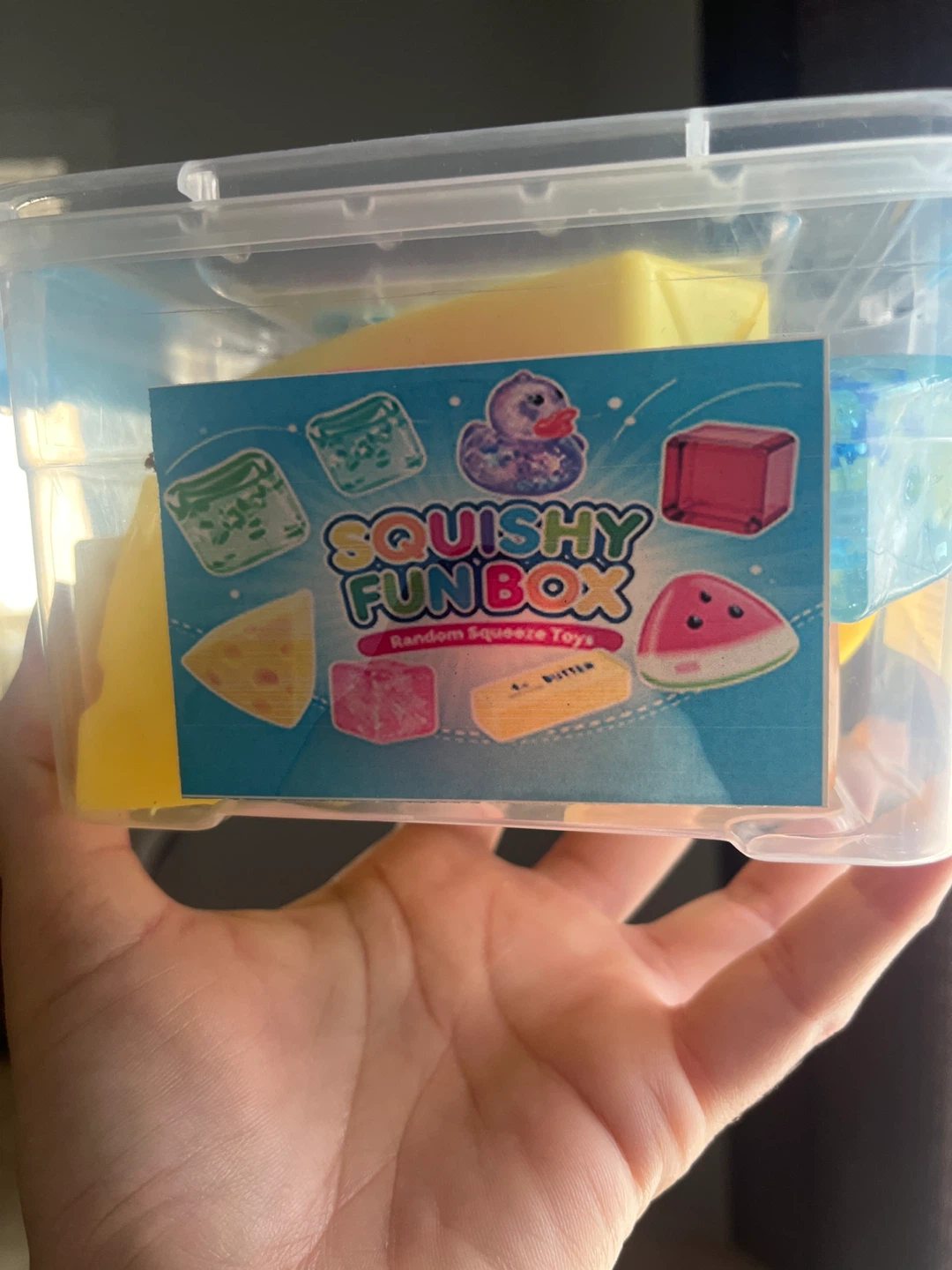 Squishy Fun Box Random Squeeze Toys