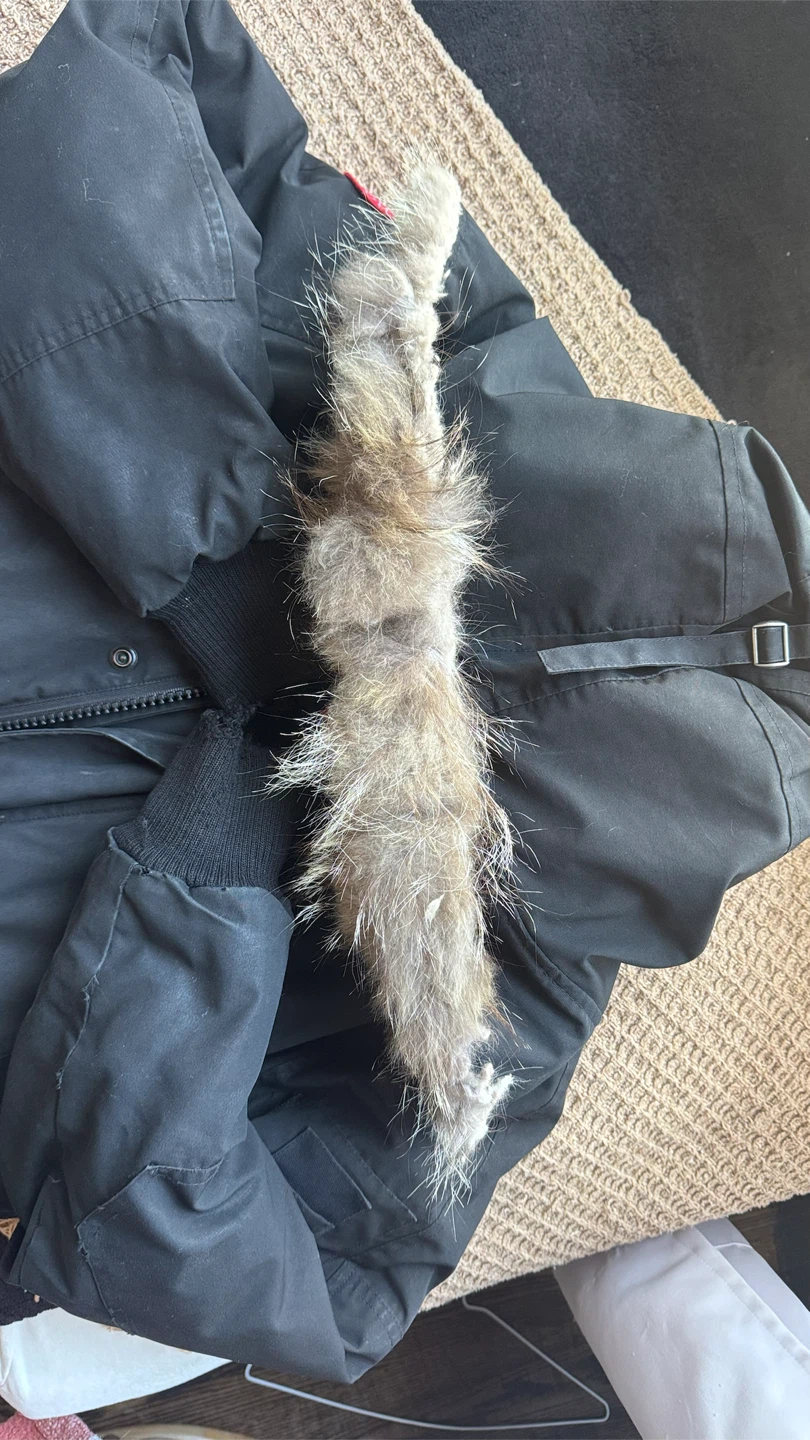 Canada Goose Bomber Jacket - photo 3