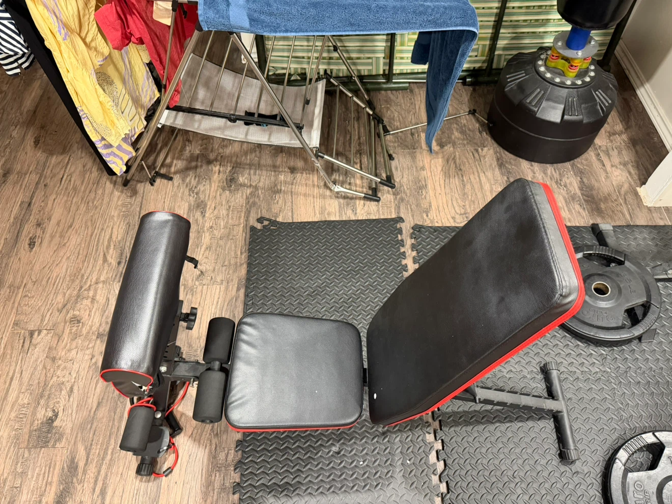 Adjustable Weight Bench with Preacher Curl and Leg Extension
