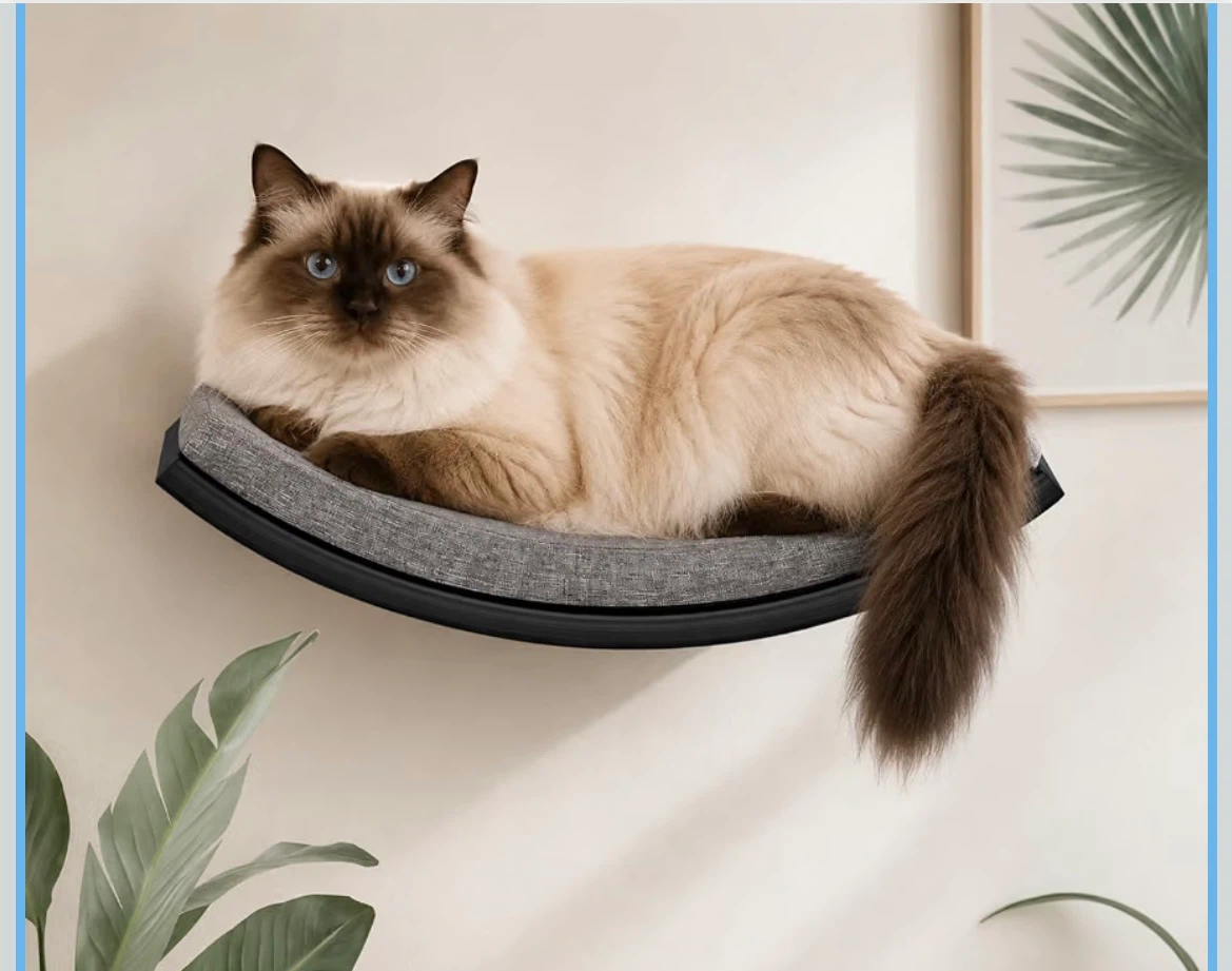 Wall-Mounted Cat bed Shelf